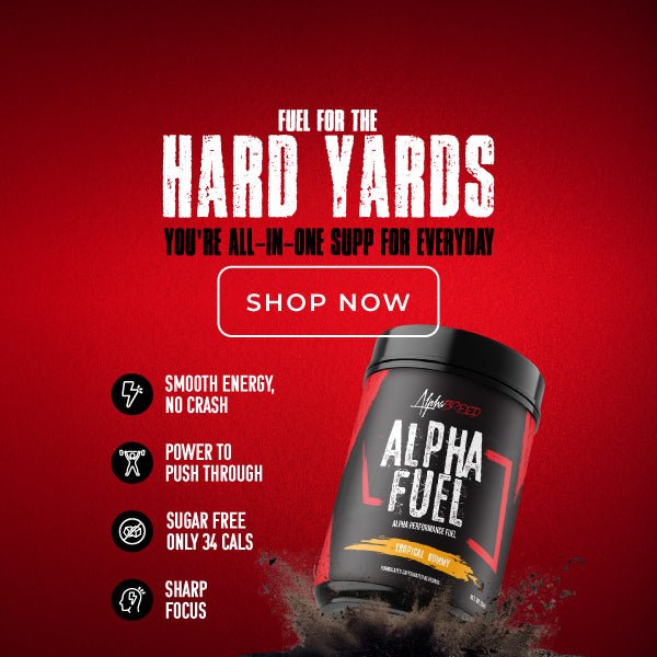 AlphaFuel Web Launch