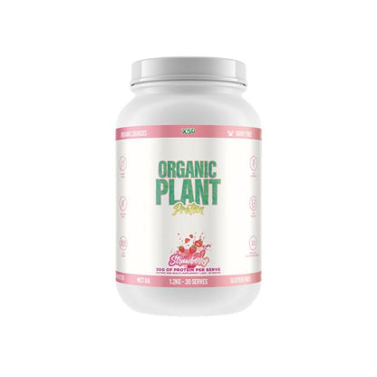 X50 Plant Protein